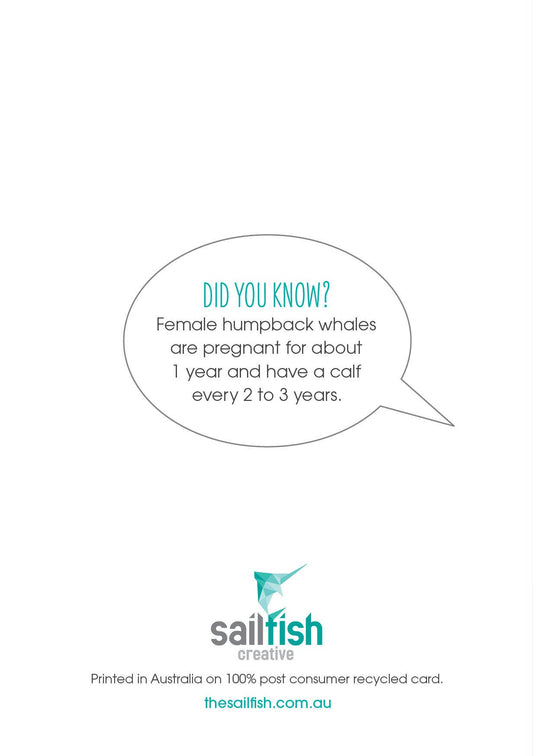 Other Card - Humpback whales