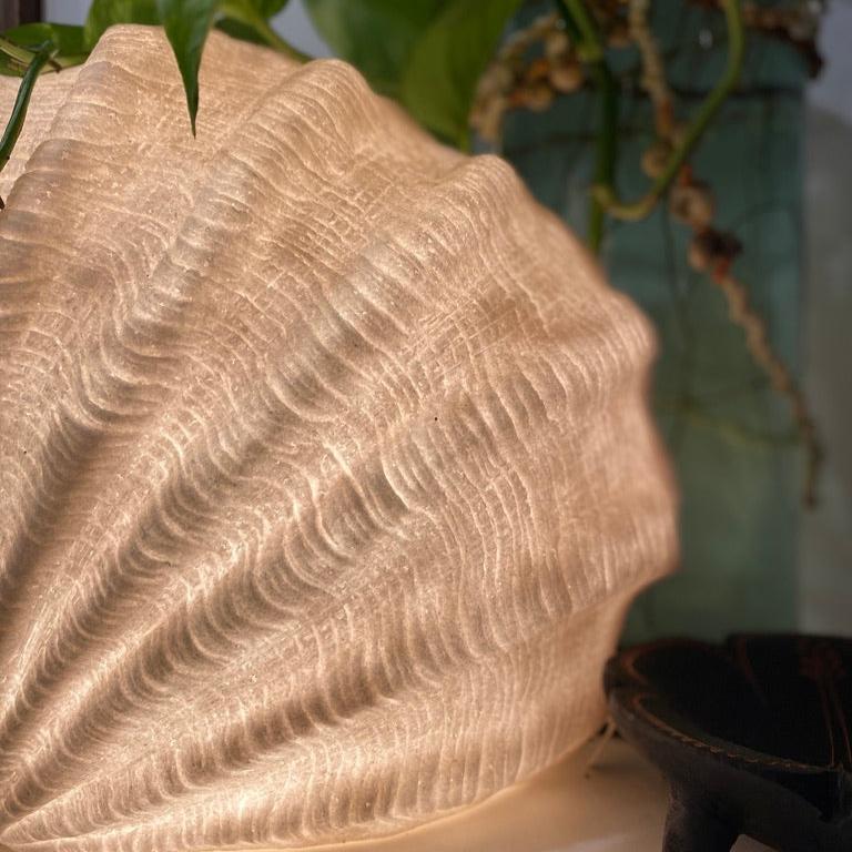 Coastal ambient lighting inspired by ocean shell textures
