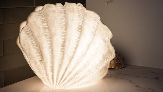Handcrafted clam shell reef lamp glowing with warm ambient light