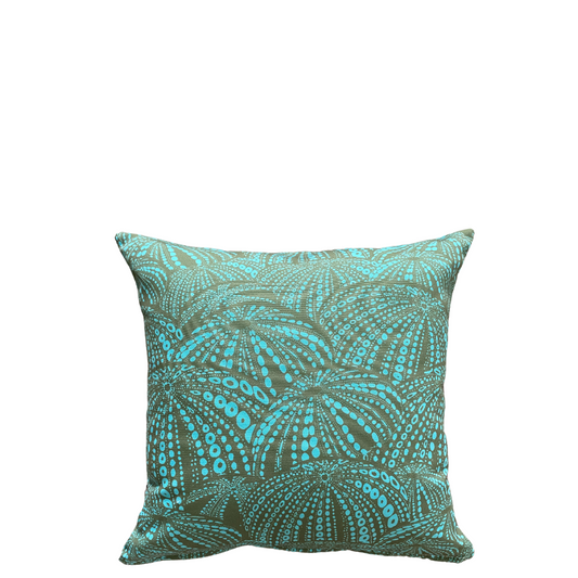 cushion-urchin-light-rockpool
