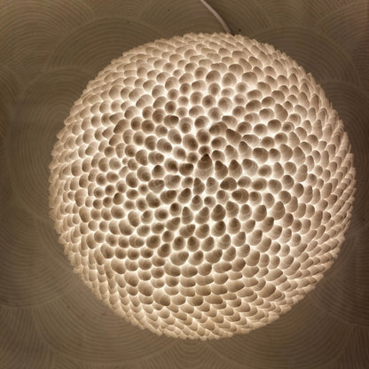Handcrafted Cone Shell Reef Lamp – Coastal Sculptural Ambient Light