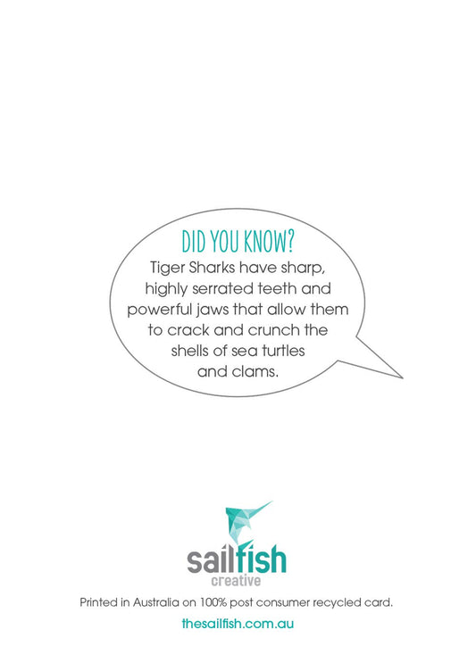 Other Card - Tiger Shark