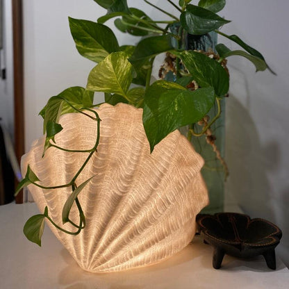 Coastal bedroom with Clam Shell Reef Lamp on shelf
