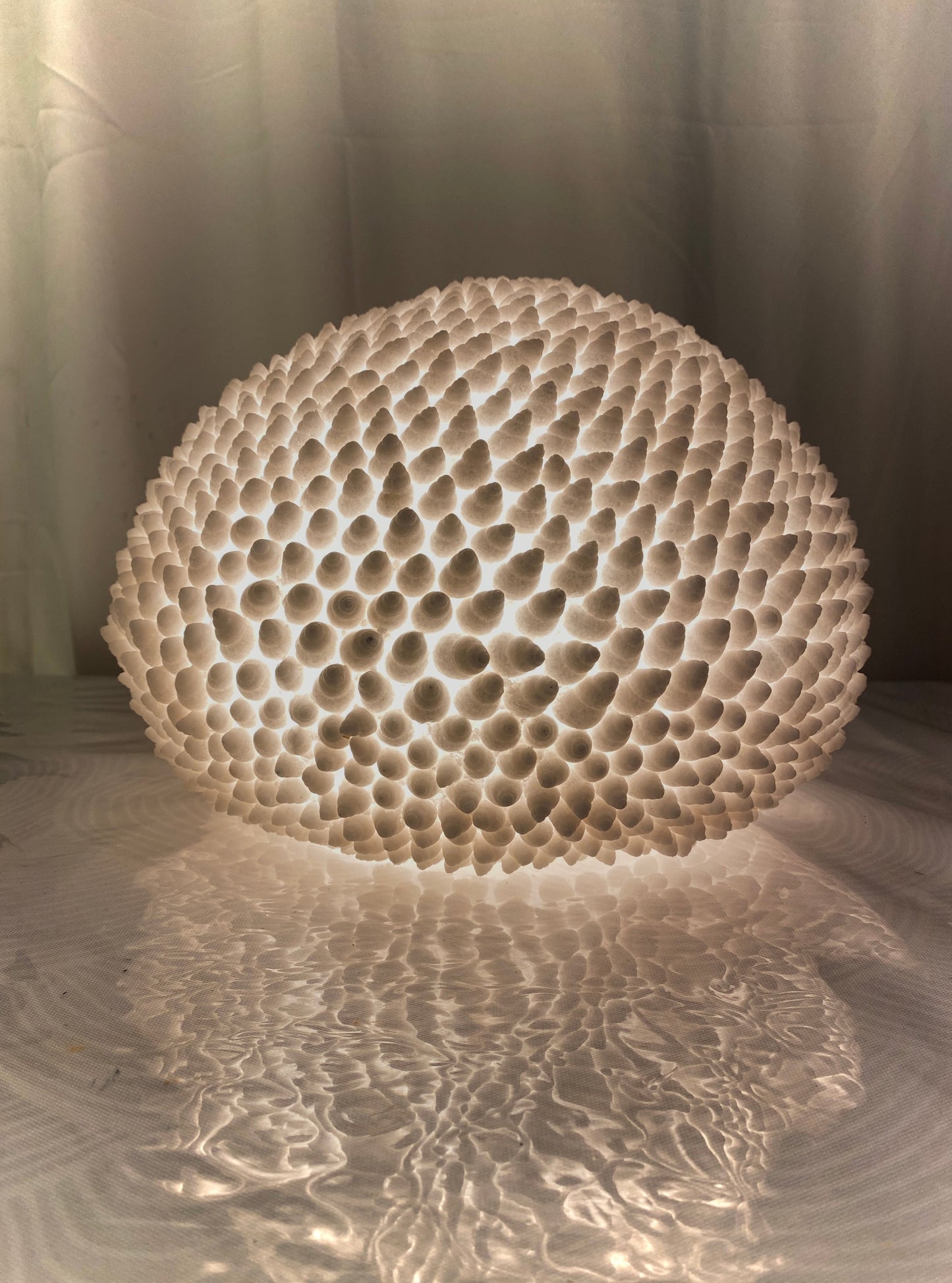 Cone Shell Reef Lamp