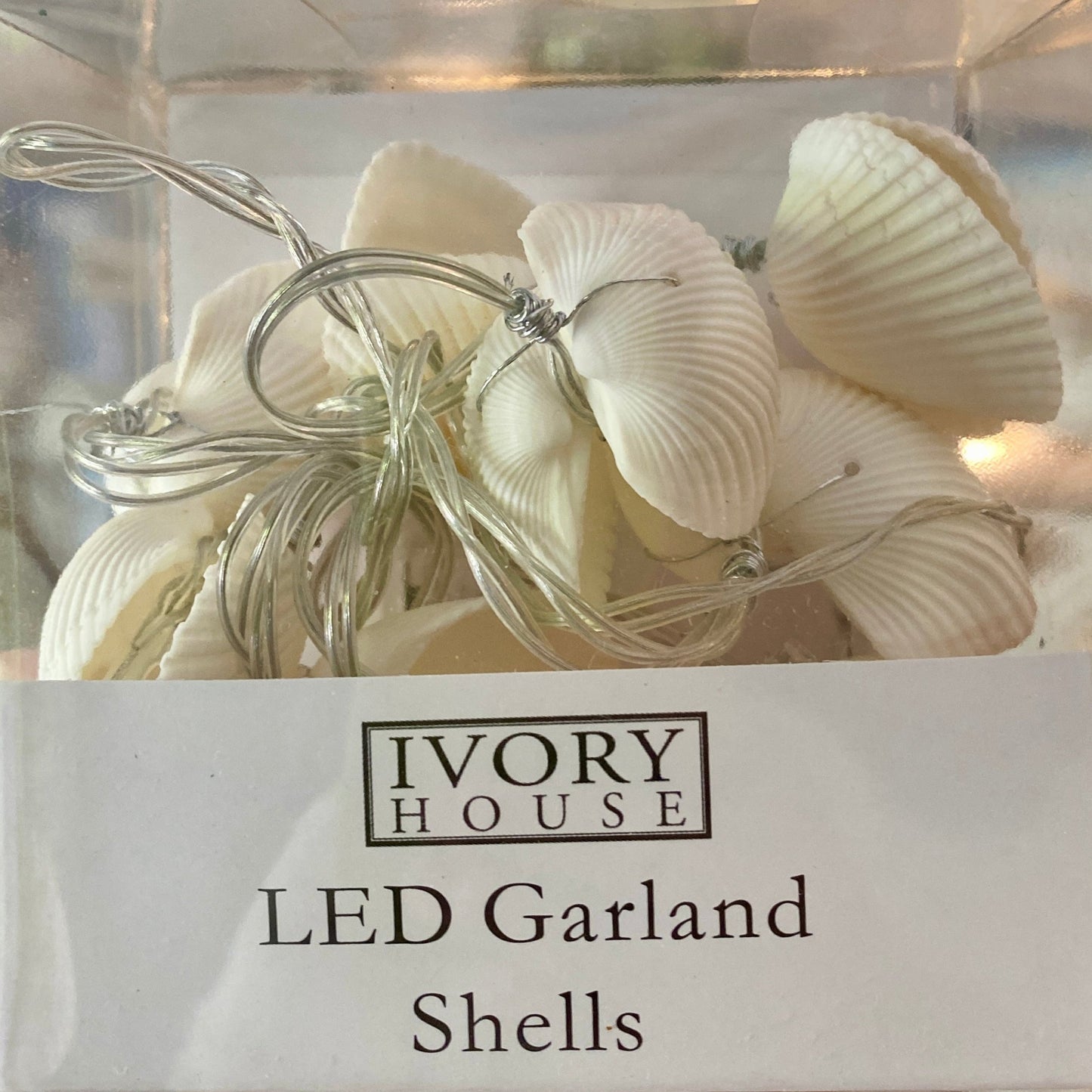 Shell LED Lights