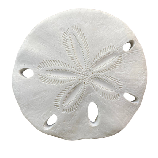 Sand Dollar Wall Plaque