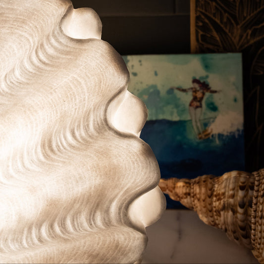 Sculptural clam shell lamp for coastal interiors