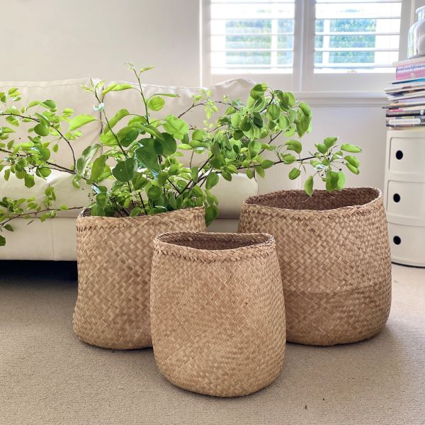 Seagrass Baskets - Set of 3