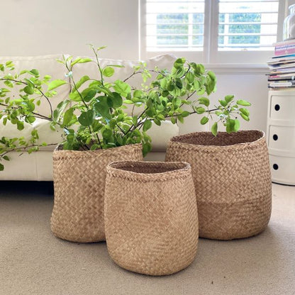 Seagrass Baskets - Set of 3