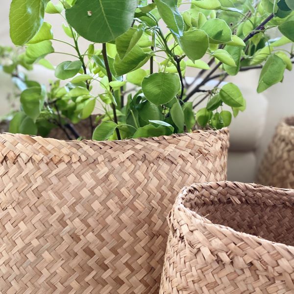 Seagrass Baskets - Set of 3