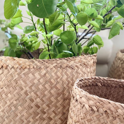 Seagrass Baskets - Set of 3