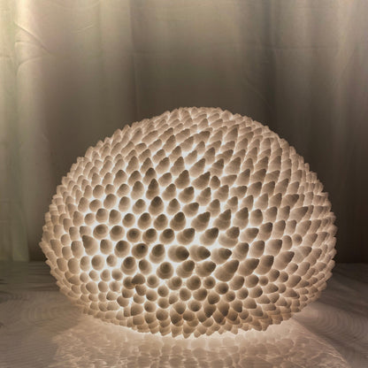 Handcrafted Cone Shell Reef Lamp glowing with warm ambient light