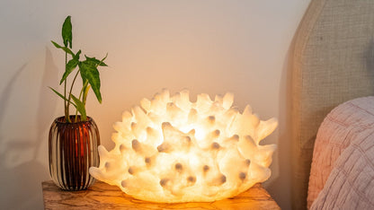 Handcrafted coral shell lamp glowing with warm ambient light