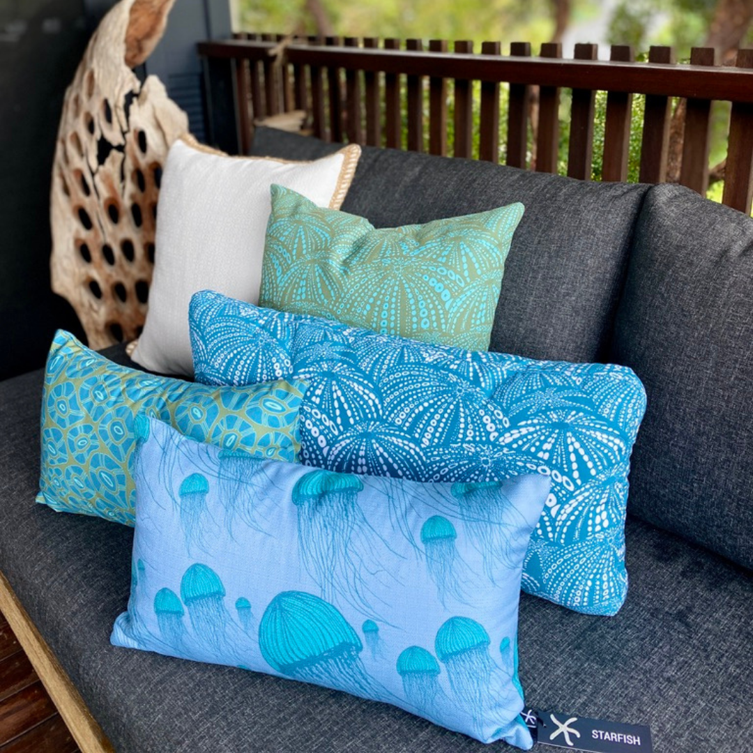 cushion-urchin-light-rockpool
