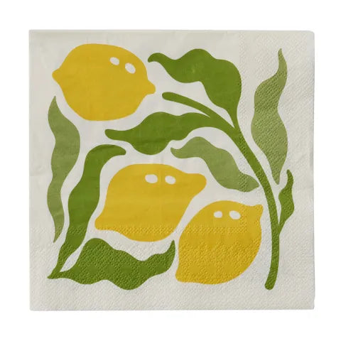 Paper Napkins